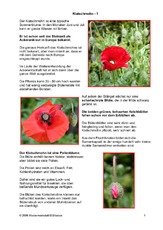 Klatschmohn-1.pdf